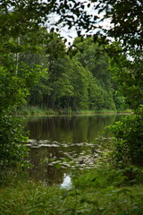 On the shores of Lake Chernoe in the vicinity of the town of Pokrov, Vladimir region, Russia.