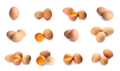 Set of fresh eggs on white background