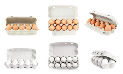 Set of fresh eggs on white background