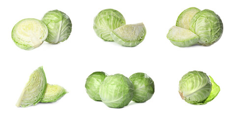 Fototapeta premium Set of fresh ripe cabbages isolated on white background. Banner design