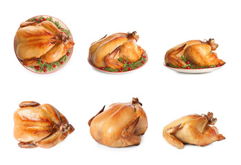 Collection of cooked turkey on white background