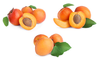 Set of fresh apricots on white background