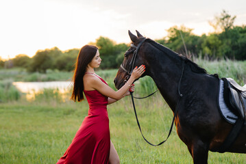 Obraz premium A young pretty girl in a red dress poses on a ranch with a thoroughbred stallion at sunset. Love and care for animals