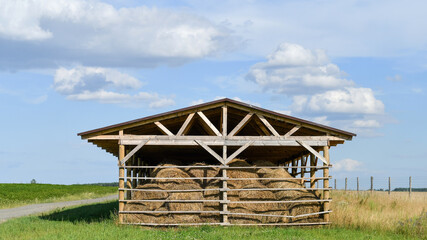 Wooden facility for storage of hay bales at the cattle farm.