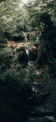 Vertical photo of natural forest landscape with a river with waterfalls in the middle