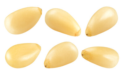 Pine nut isolated on white background, clipping path, full depth of field