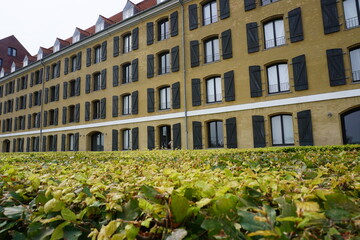 old building with flowers