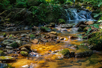 Fototapeta na wymiar A small stream flows through the mossy rocks. Blurred water movement obtained with a slow shutter time.