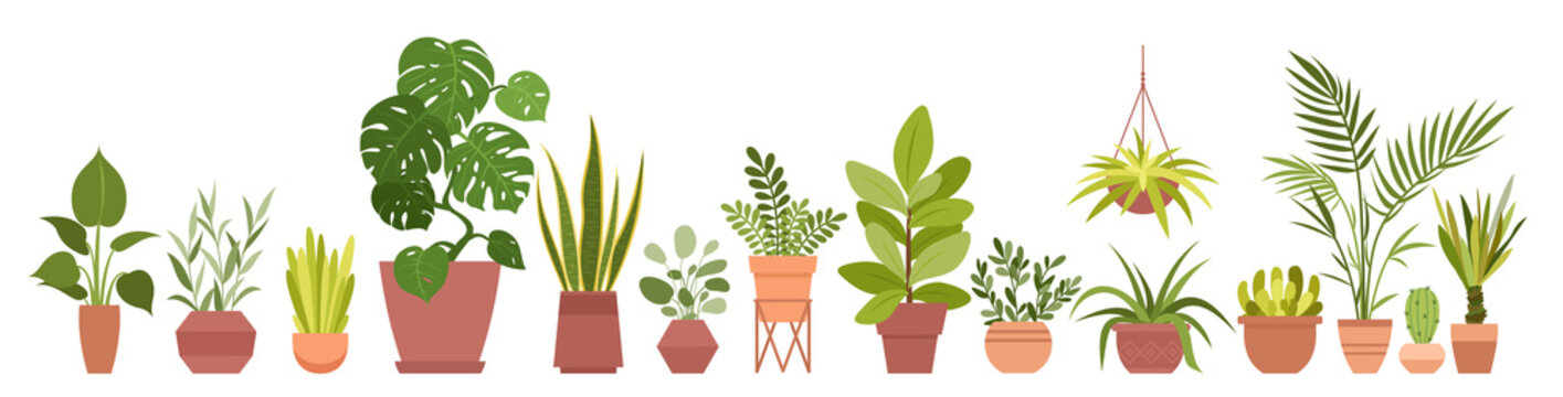 House Plants Home Decor Vector Illustration Set. Cartoon Potted Green Plants Flowers Collection, Houseplants In Clay Pot, Hanging Decorative Flowerpots Isolated On White Background.