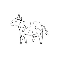 Vector hand drawn doodle sketch cow isolated on white background