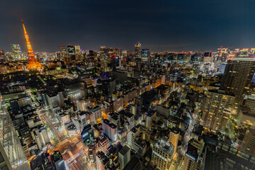 Tokyo tower night view with city landscape