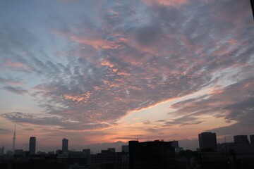 Fototapeta premium 東京の街の夜明けと建物のシルエット茜色に染まる空