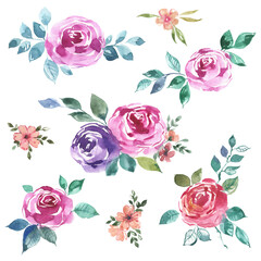 watercolor set of pink sketch roses