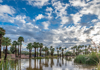 Obraz na płótnie Canvas Papago Pond in Phoenix, Arizona.