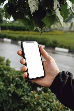 Mockup image of hand holding mobile phone with blank white screen. A man with a smartphone against the background of a city park with trees, green bushes and a road.