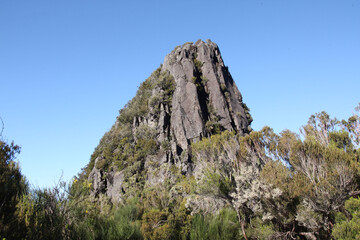 Madère, le pinaculo