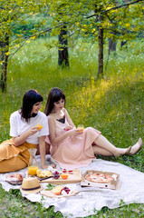 Two girls having picnic in park on sunny day