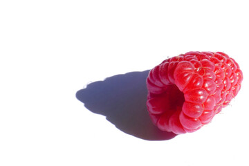 Raspberry Macro - A closeup image of a single raspberry against a pure white backdrop