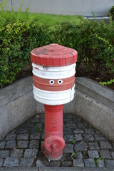 Fire hydrant with decorative eyes