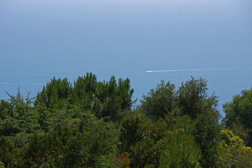 High angle panorama of the Pacific ocean seen from the Campanile hill in Santa Barbara on a beautiful summer day