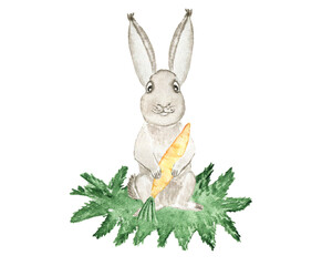 Watercolor Bunny. Forest animal. Children's illustration. Image for a postcard. Decor in the children's room. Print for children's clothing. Stationery.