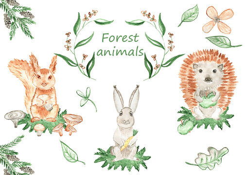 Watercolor set. Bunny, hedgehog, squirrel. Forest animal. Children's illustration. Image for a postcard. Decor in the children's room. Print for children's clothing. stationery.