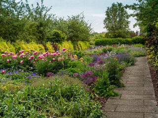 Colourful summer flower borders and a paving stone path in a garden in North Yorkshire, England