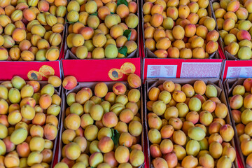 Fresh apricots are sold in crates in the market in Malatya city