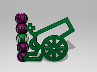 3D representation of CANON with icon on the wall and text arranged by metallic cubic letters on a mirror floor for concept meaning and slideshow presentation. background and editorial