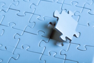 Obraz premium Finishing a Puzzle