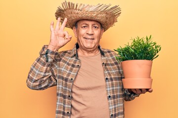 Senior man with grey hair wearing gardener hat holding plant pot doing ok sign with fingers, smiling friendly gesturing excellent symbol