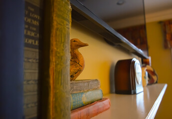 Wooden duck hiding behind stack of books