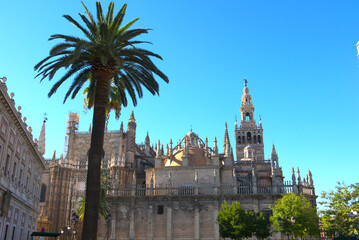 Seville cathedral Giralda tower of Sevilla, Andalusia, Spain.
