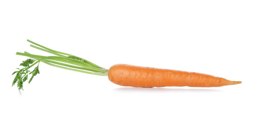 Fresh carrot on white background