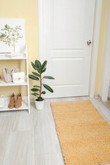 Stylish interior of modern hall