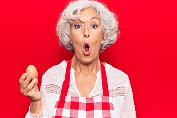Senior grey-haired woman wearing apron holding egg scared and amazed with open mouth for surprise,...