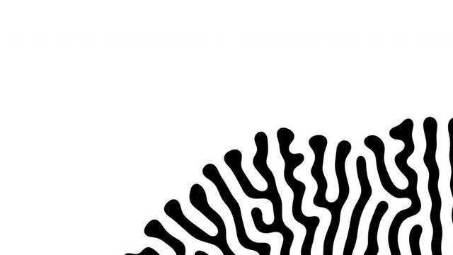 Reaction diffusion organic growing pattern. Turing system science background.