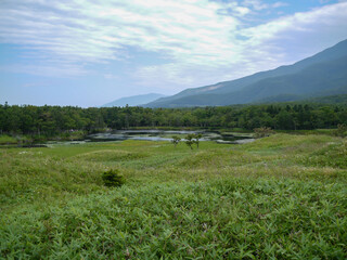 北海道知床半島の知床五湖