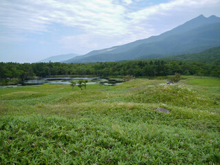 北海道知床半島の知床五湖