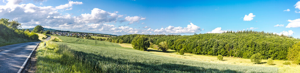 Fototapeta na wymiar Idyllic panorama from farmland with country road