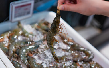Seafood shrimp in supermarket