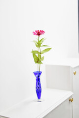 pink flowers in a vase