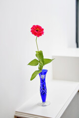 pink flowers in a vase