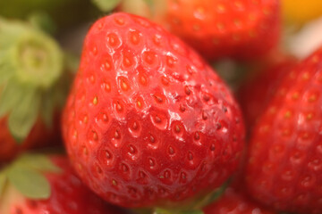 close up of strawberries