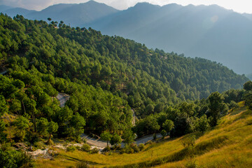 Beautiful view of hills and valleys of Naldehra (Shimla) Himachal Pradesh. 