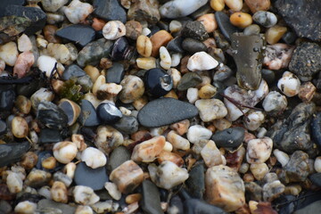 suelo de playa 