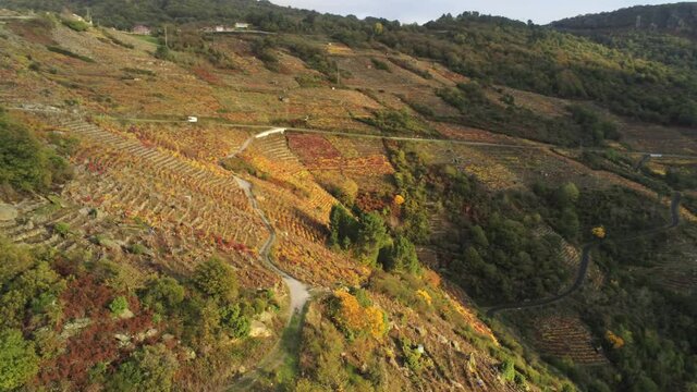 Ribeira Sacra. Beautiful landscape of vineyards in mountains. Galicia,Spain. Aerial Drone Footage