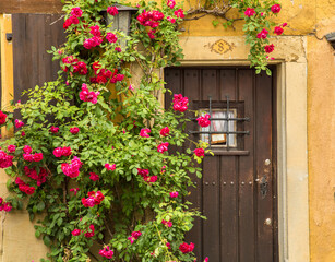 Fototapeta na wymiar A decorated door entry with red flowers on home in Rothenburg ob der Tauber, germany