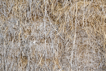 straw texture background