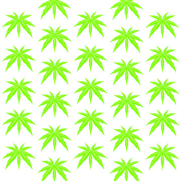 Vector illustration of Cannabis (marijuana) leaf © thanamat